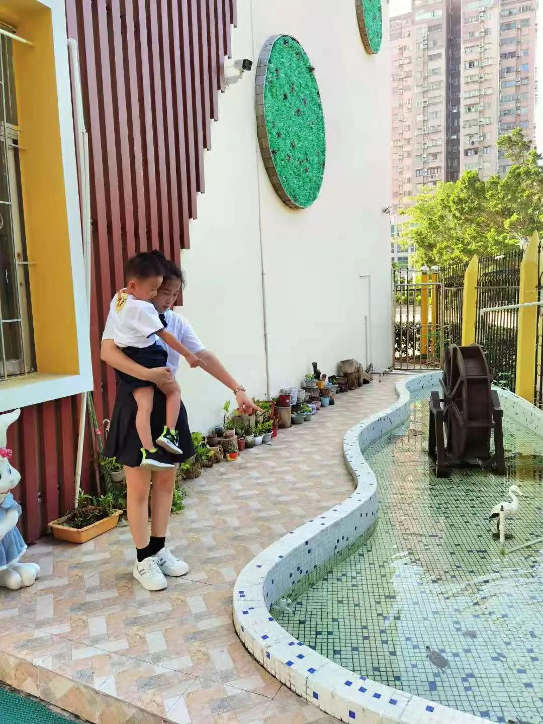 金领之光｜星河漫漫，不负理想--幼教专业学生获评南园教育集团“优秀实习生”(图7)